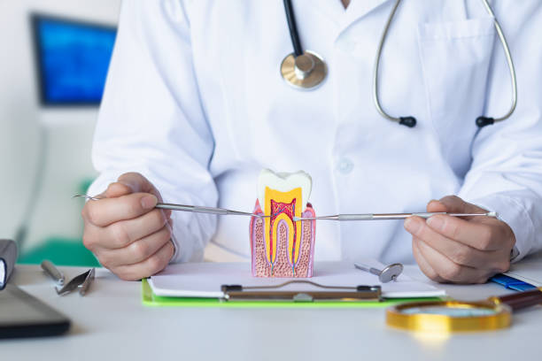 Best Urgent Dental Care for Toothache in Lake Linden, MI